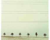 On the road... Landscape. Fine art photography print. 8x8 (20x 20cm)