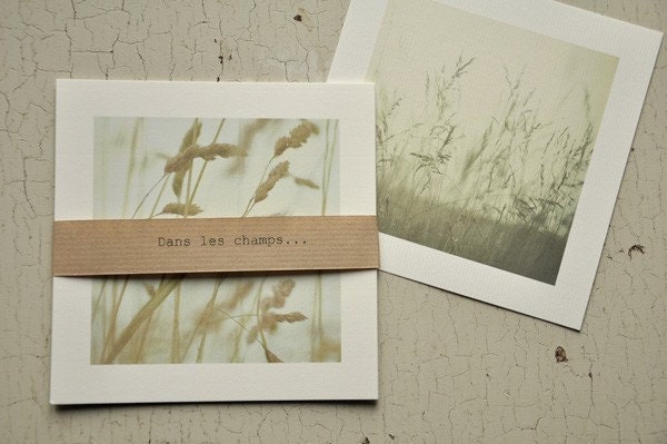 In the fields... Set of 5 postcards.