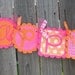 Happy Birthday Banner- Juicy in HotPink and Orange