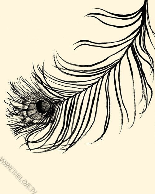 LUCKY FEATHER - Gorgeous 8x10 inch Print featuring a beautiful hand drawn Peacock feather