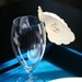Peacock Place Cards