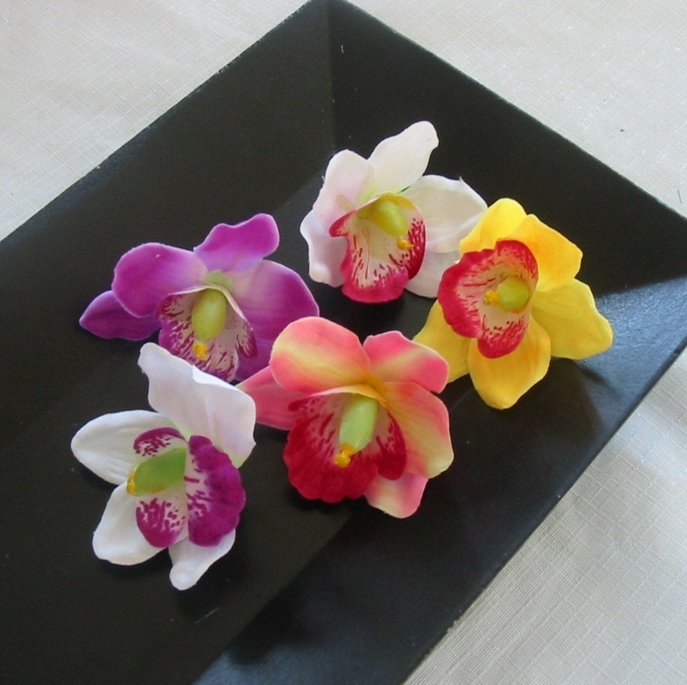 Cymbidium Orchid Flower Heads - 5 Assorted Colors