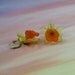 Orange and Yellow Drop Orchid  Earrings - Tropical Beauty