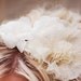 Bridal Hair Flowers - Hair Accessory - Champagne wedding hair piece -  Bridal flower headpiece  - vintage wedding