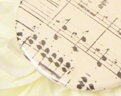 pocket mirror . face the music