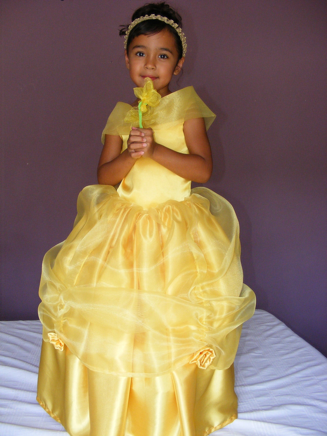 PRINCESS BELLE COSTUME sizes 2t -5
