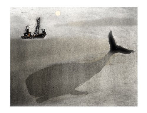 Whale and a boat