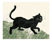 Black Cat wearing glasses
