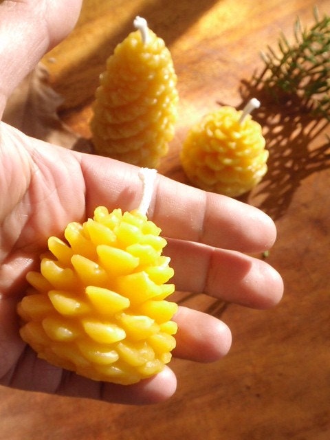 beeswax pine cone candles / the Golden Forest / pure beeswax candles