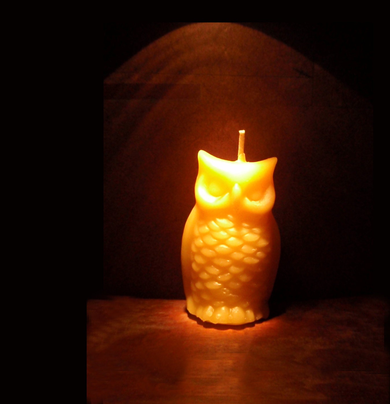 night owls (set of 2)- pure beeswax  owl candles - woodland