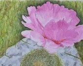 Pink Lacy Cactus Flower Texas Hill Country Greeting Cards by Nan Henke  4 1/4 x 5 1/2 inch  (a set of 4) Blank