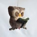Needle Felted Owl Ornament - Reading