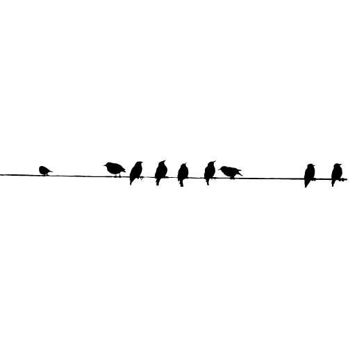Birds On A Wire - MEDIUM - Vinyl Wall Decal, Sticker