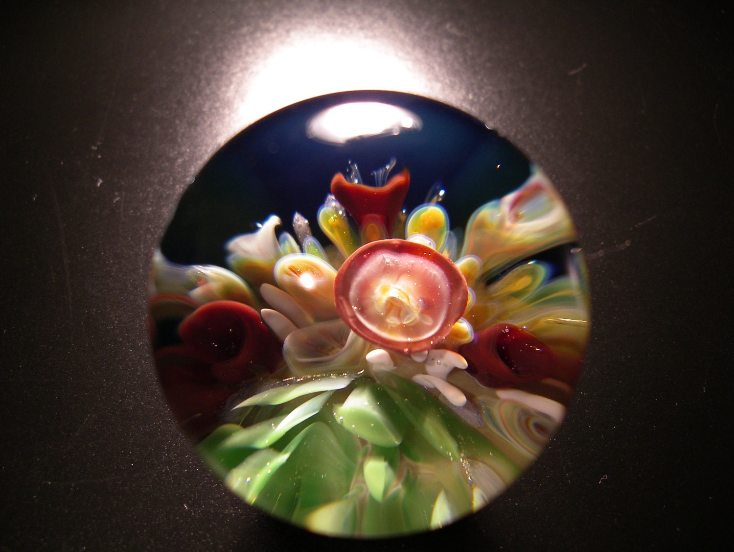 Sea Life Marble with glass stand art, handmade borosilicate glass, gift bag, unique gift, FREE SHIPPING