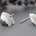 Sterling Hammered Earrings - Protecting Shields