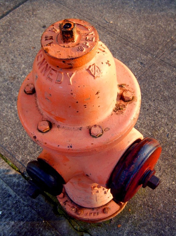 Portrait of a Fire Hydrant 8x10