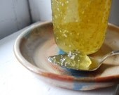 Tomatillo LemonLime Jam Homemade Gourmet Condiment  Appetizer