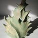 leafy sage vase w/ hole