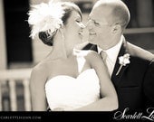 Wedding Veil and Headpiece, Birdcage Veil -- Scarlett's Veil and Headpiece