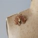 1960s jewelry / 60s brooch / Jeweled Peacock pin