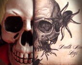 Death Legs Macabre Nature Spiders and Skulls Tag