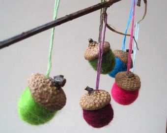 acorns ornaments Christmas XL felted wool rainbow set of 6 / natural home winter decorations