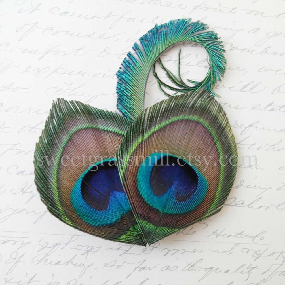 Peacock Hair Piece - BOUCLE - Peacock Feather Fascinator Clip