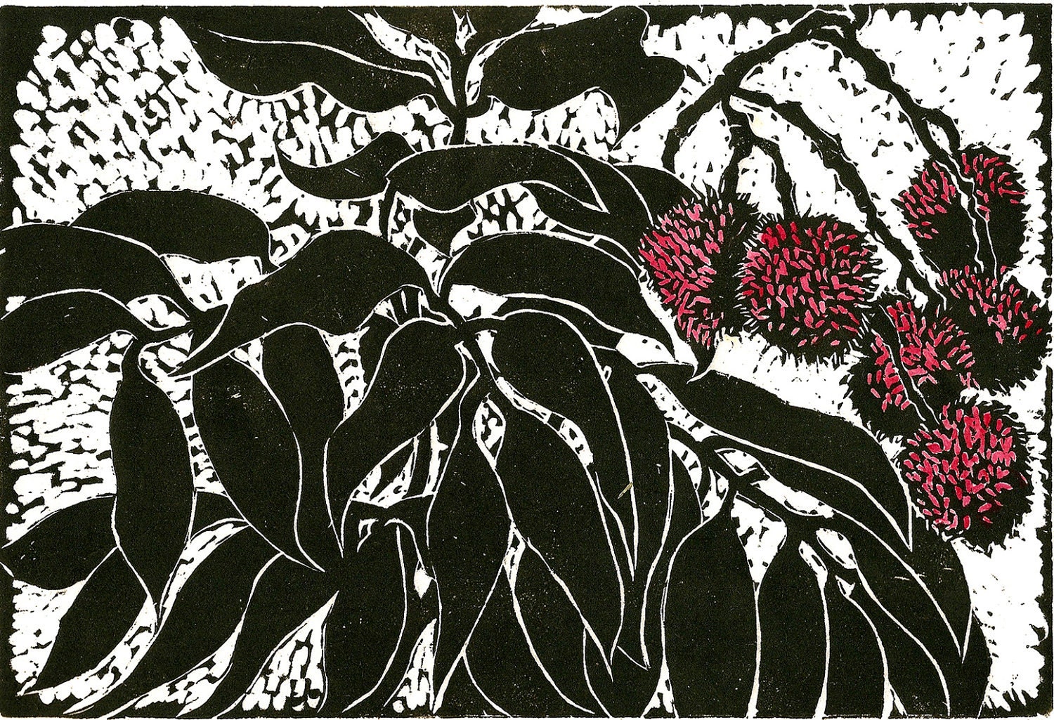 Lychees, limited edition, linoleum block print, printed and signed in pencil by the artist