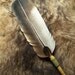 Smudging Feather