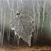 Birch Leaf Necklace, Real Leaf Jewelry, Sterling Silver Finish, Free Chain & Box