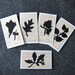5 Leaf Silhouette Enclosure Cards on Antique 1897 Ledger Paper