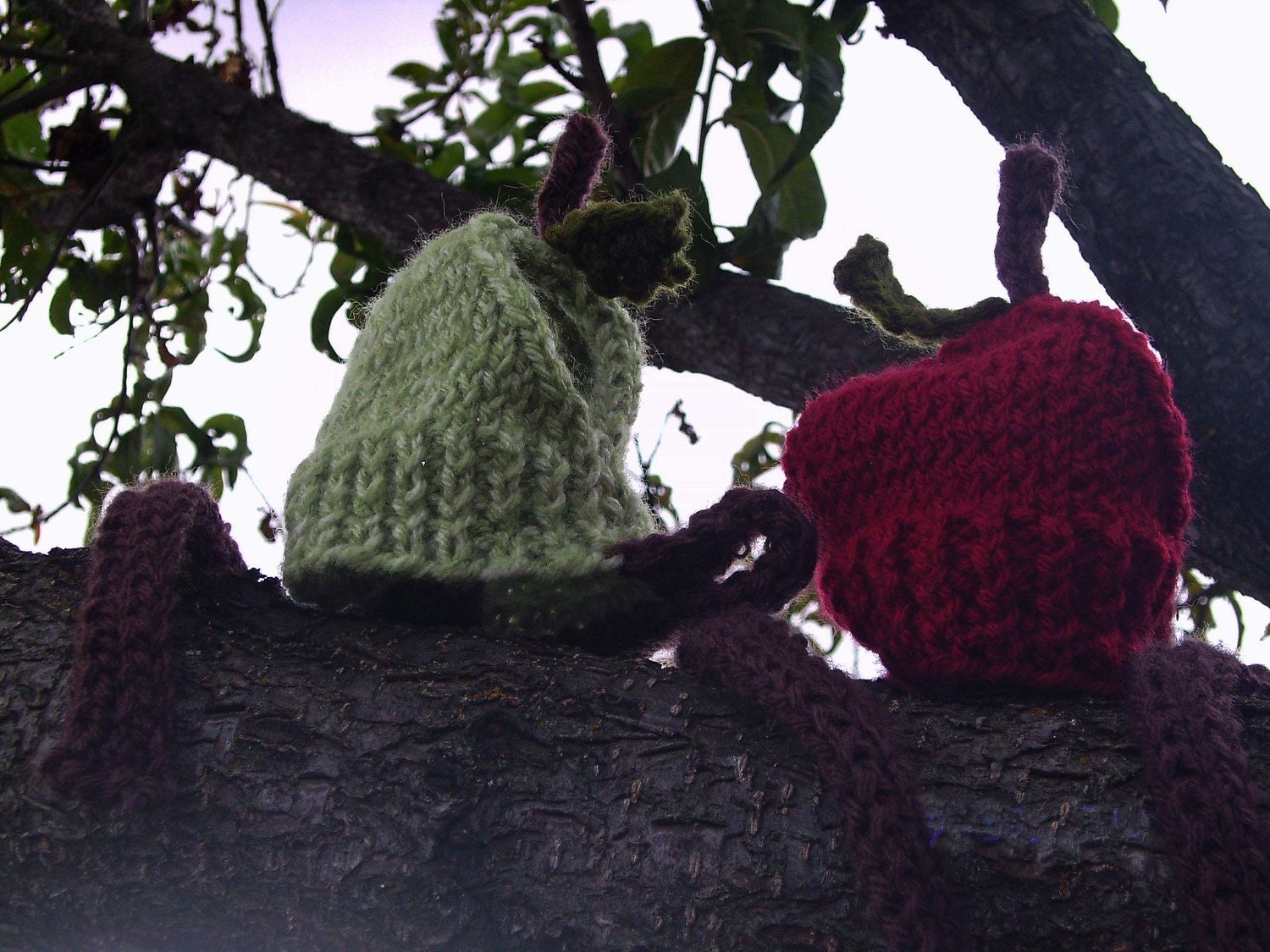 RED APPLE Hand Knit Dog hat Photo Prop