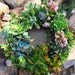 DIY Kit, Everything You Need to Make Your Own Starter Succulent Wreath