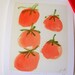Cinque Pomodori- Tomato- Fine Art Print
