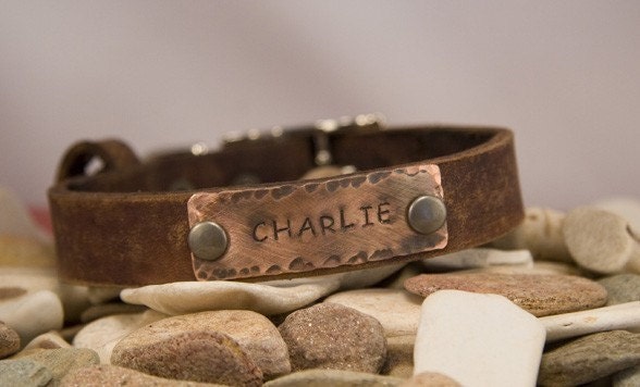 leather dog collar 1 1/4 inch distressed, name plate leather dog collar 1 1/4 inch distressed, name plate