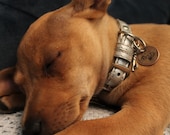 Penny Pet tag