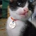 The Bijou pet tag pet tag 3/4 inch with a small sterling silver tag