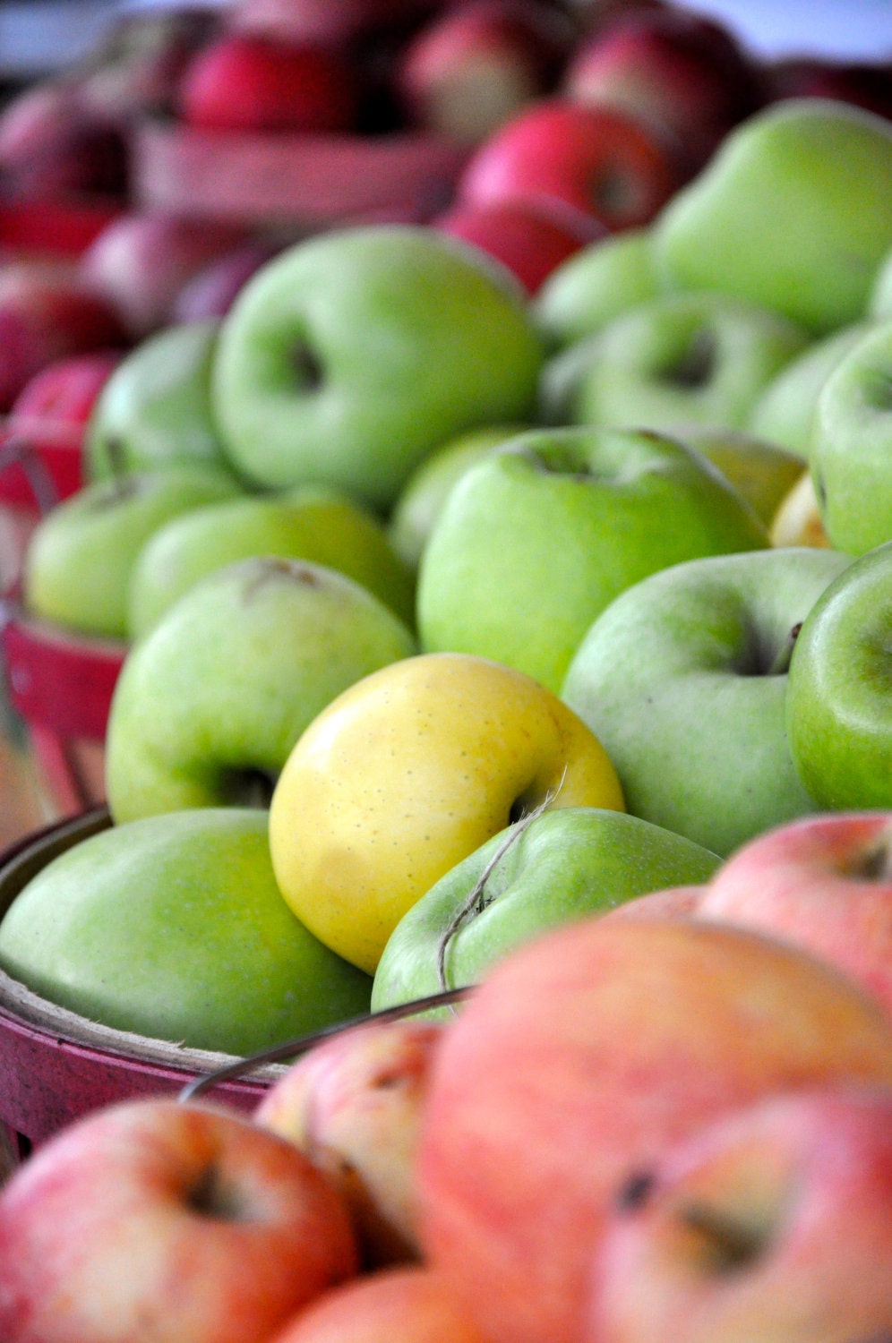 Sweet Cider 8x10