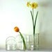 scientific set of petri dishes covers misc science bowls and bottles