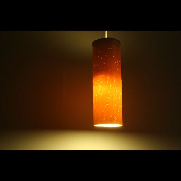 Energy Saving Lamp: Rice Pattern Seedlamp Pendant