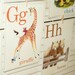 Animal ABC Flashcards - 4x6 - Set of 26