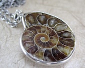 Ammonite Fossil Pendant - Chocolate Tones - Artisan Jewelry by A Second Time