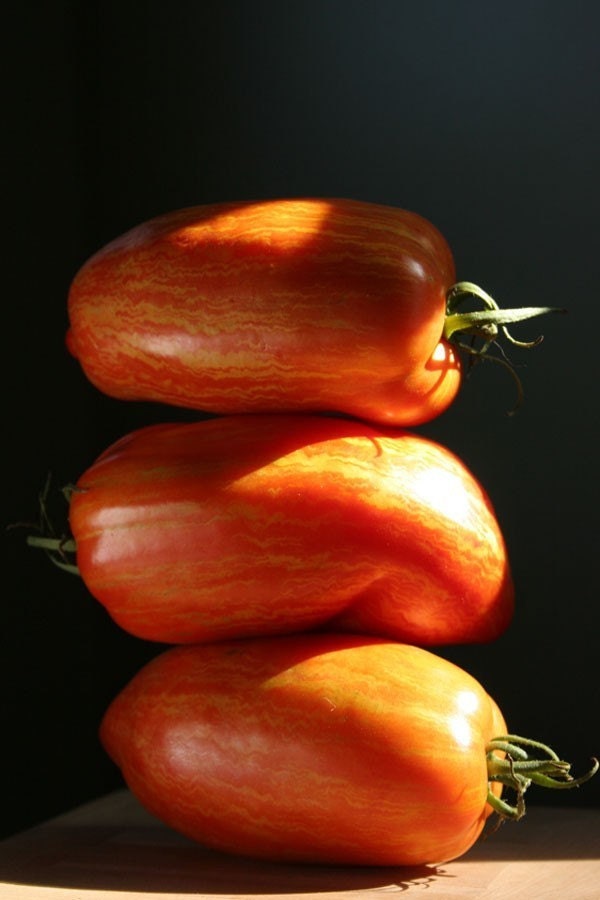 Heirloom Organic Striped Roman Tomato Vegetable Garden Seeds
