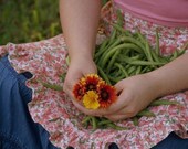 Heirloom Blue Lake 274 Bush Bean Seeds