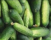 Homemade Pickles Heirloom Cucumber Seeds