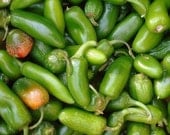 Heirloom Jalapeno Pepper Seeds