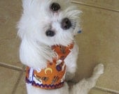 Orange Boo Halloween Harness for Small Dogs Chihuahua, Yorkie, Maltese