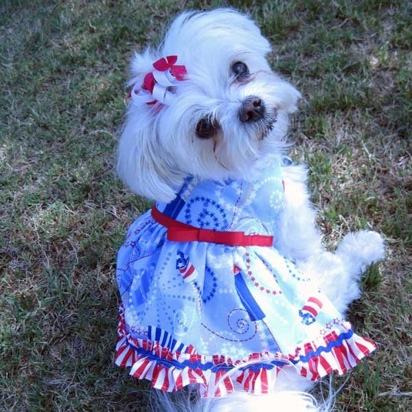 Patriotic Dog Dress Fireworks and Stripes print for July 4 Celebrations