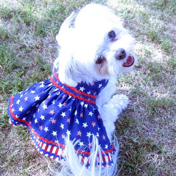 Patriotic July 4 Dog Dress with Stars and Stripes on Navy Blue