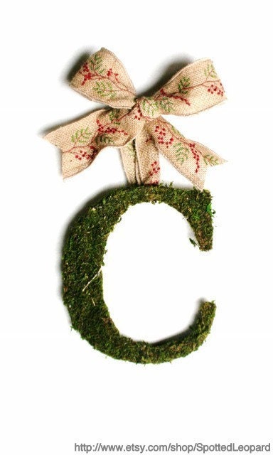 Moss Covered Christmas Wedding Door Wreath 8 inch